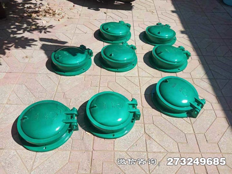 自清洁玻璃钢拍门