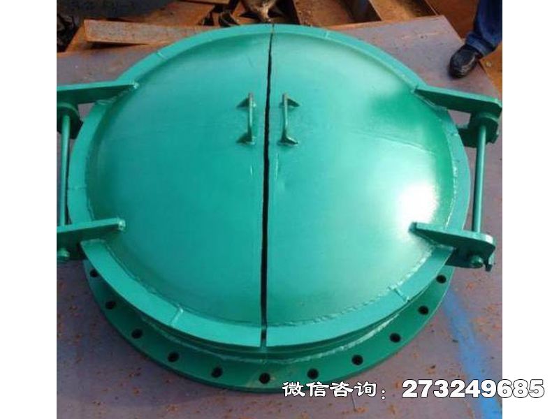 玻璃纤维增强塑料拍门