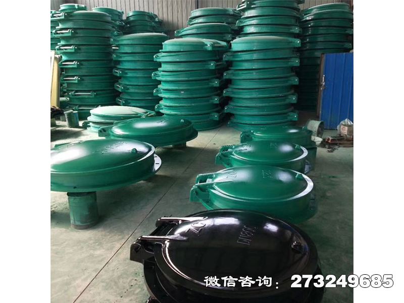 玻璃钢止回拍门