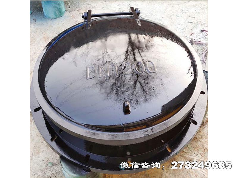 防倒灌玻璃钢拍门