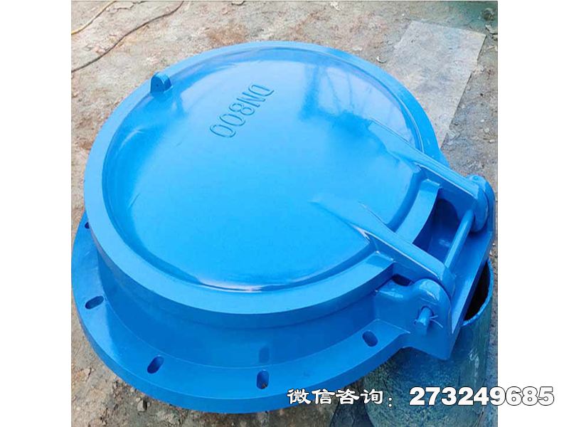 单向水流控制拍门