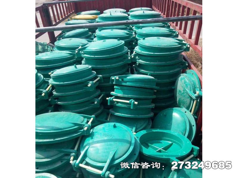 浮箱式玻璃钢拍门