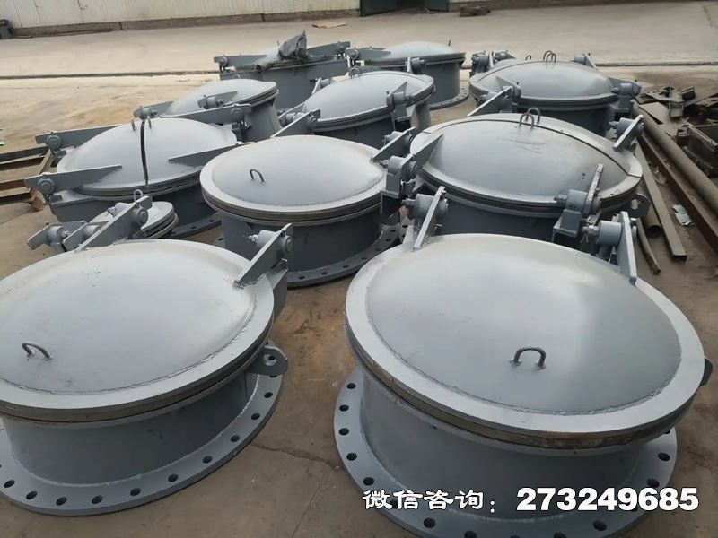 耐高压不锈钢拍门