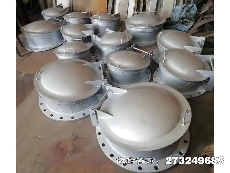 堤坝泄洪不锈钢拍门