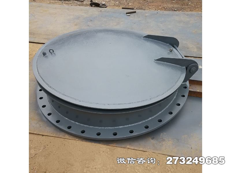 泵站防逆流不锈钢拍门