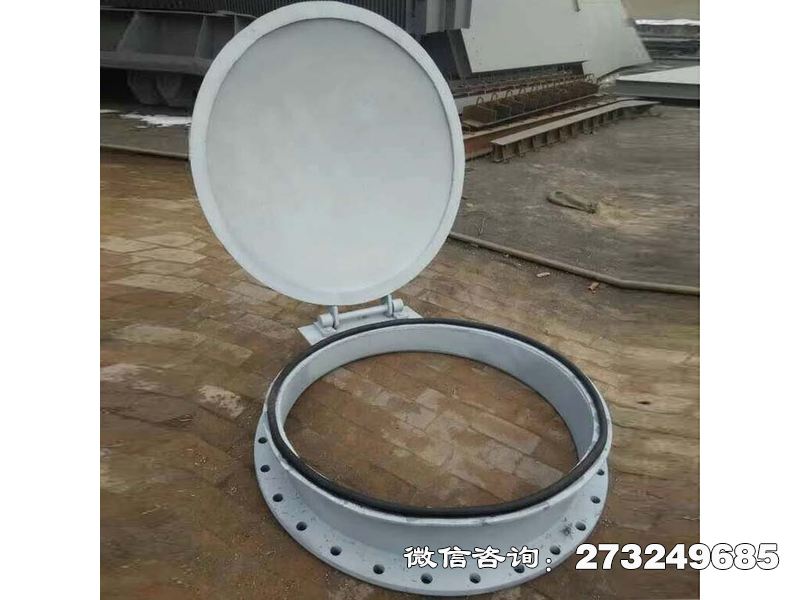 金属不锈钢拍门