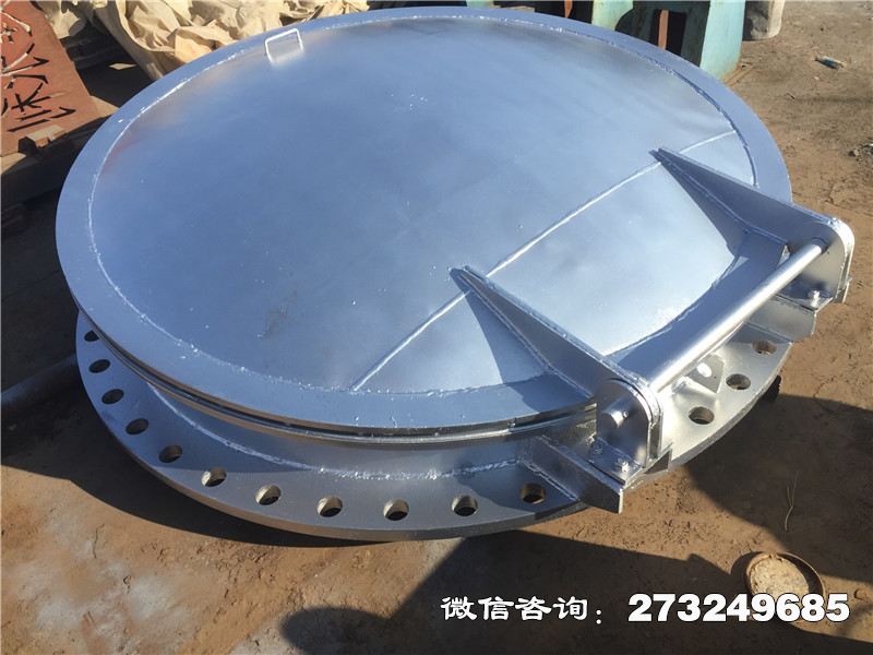 不锈钢止回拍门