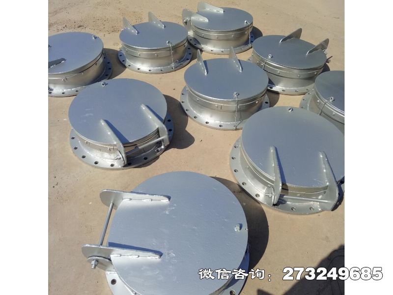 防倒灌不锈钢拍门