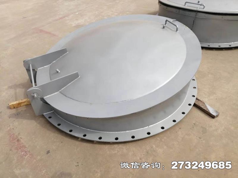 不锈钢逆止拍门