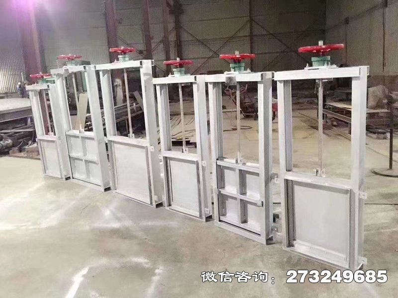 机闸一体不锈钢水闸