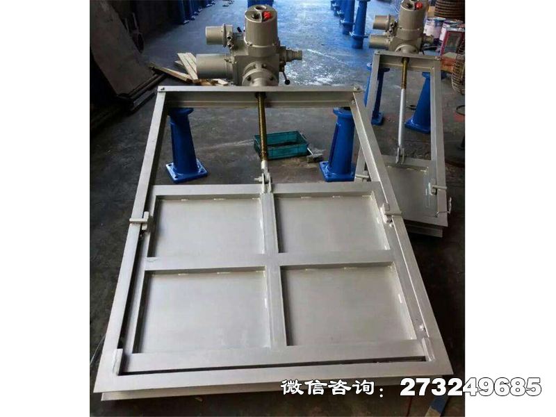 316L不锈钢机闸一体闸门