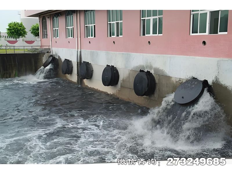 新乡河口潮门拍门