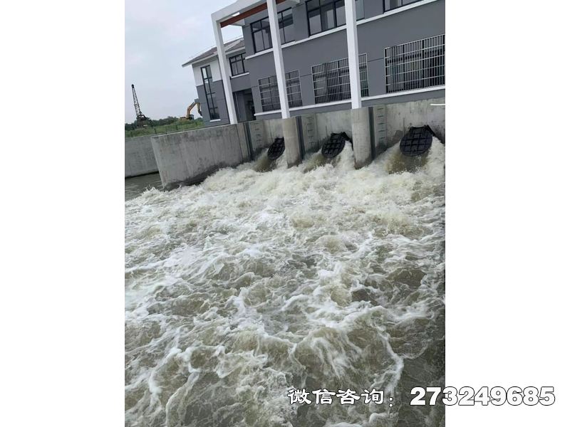 防潮堤潮门拍门