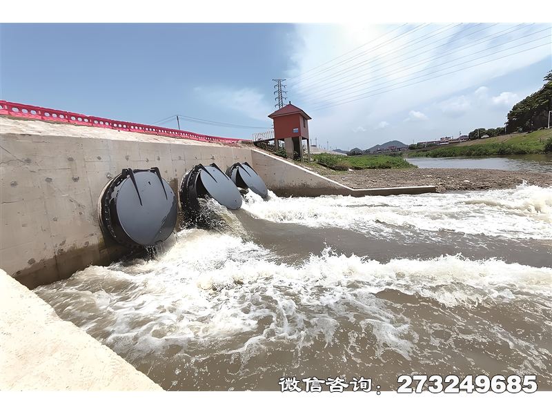 蓄滞洪区潮门拍门