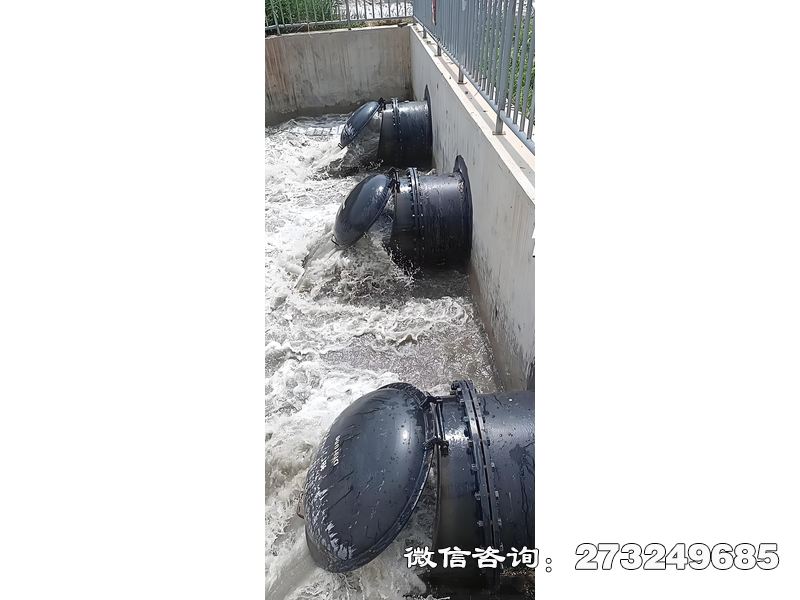 污水处理厂潮门拍门