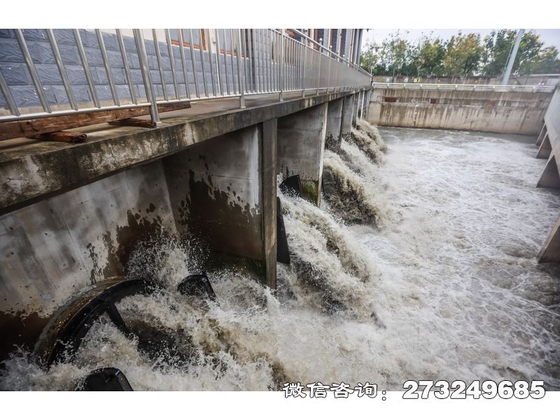 水库溢洪道潮门拍门