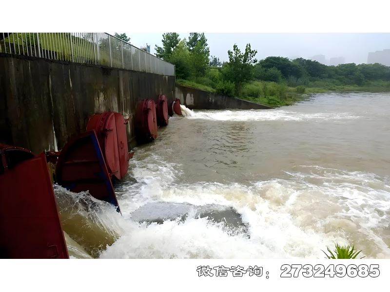 灌溉渠首潮门拍门