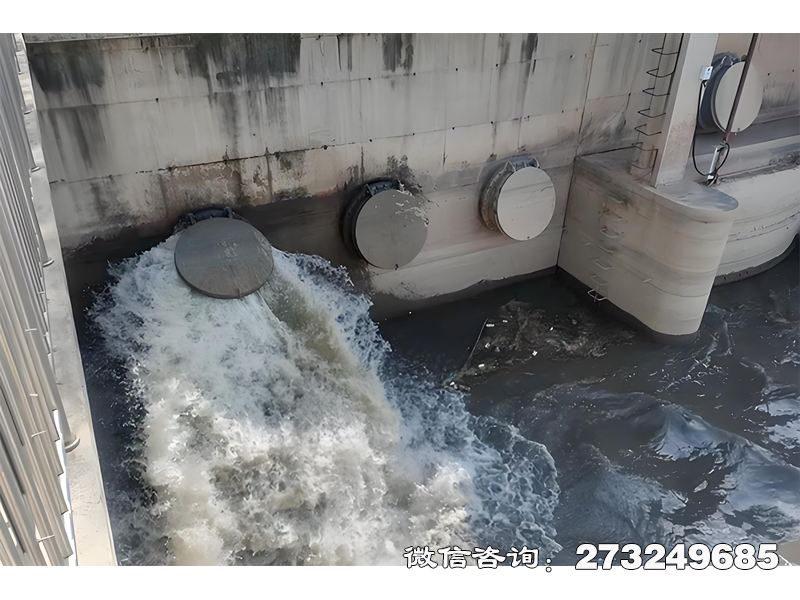 隧道排水口潮门拍门