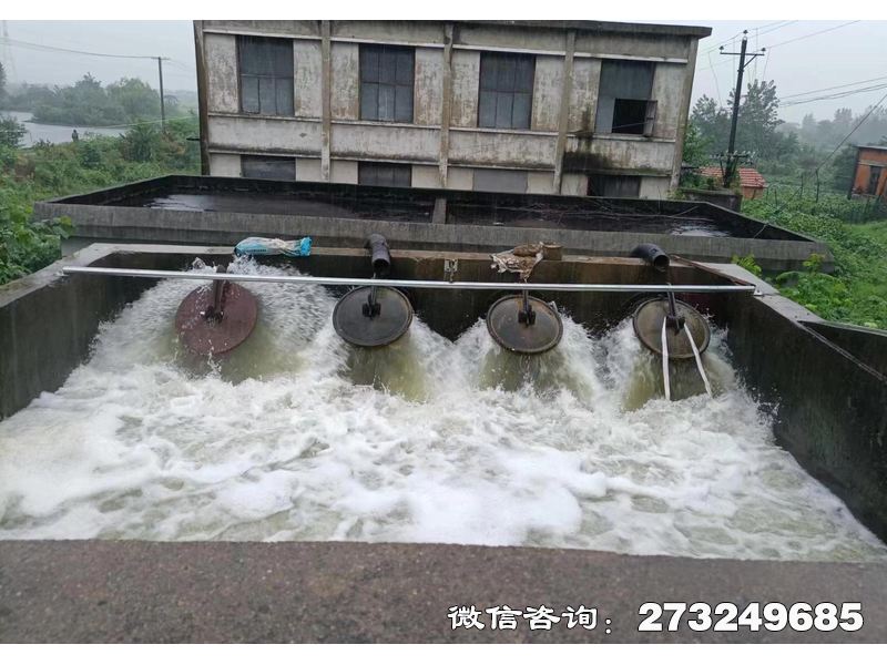 行洪区退水口潮门拍门