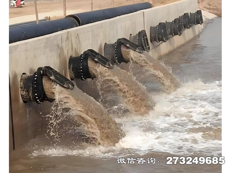 蓄滞洪区分洪闸潮门拍门