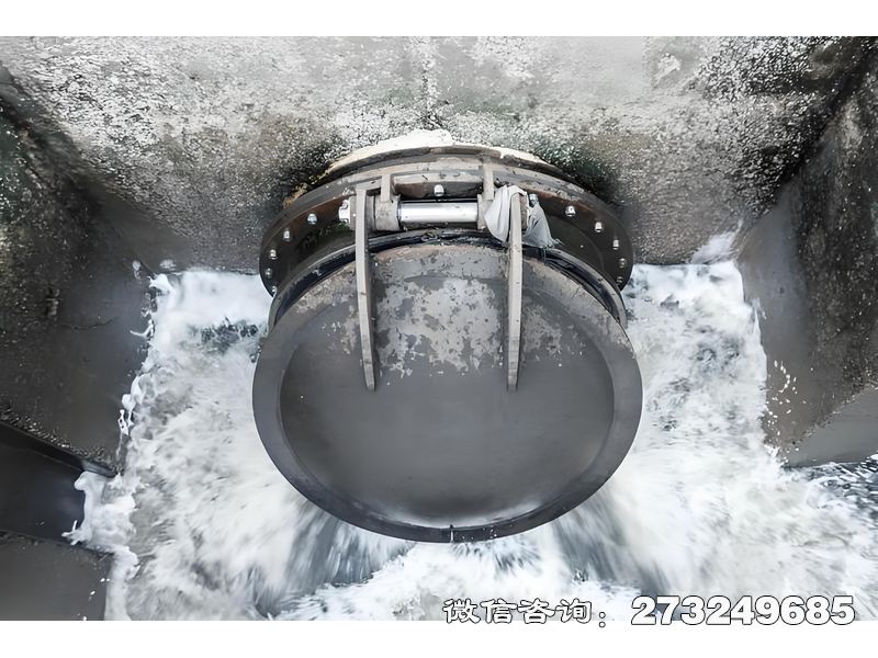 河道排水潮门拍门