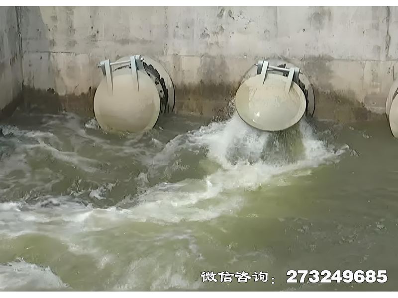 河道生态护岸排水潮门拍门