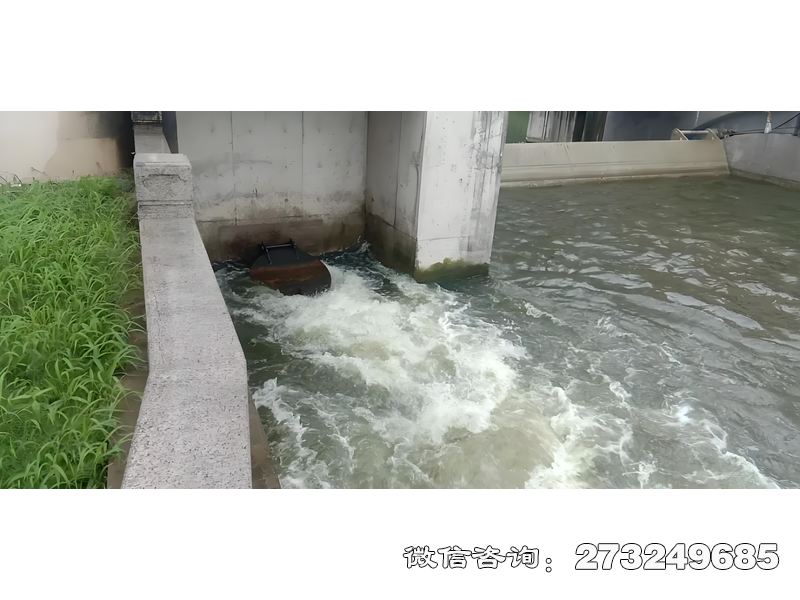 海塘防潮闸潮门拍门