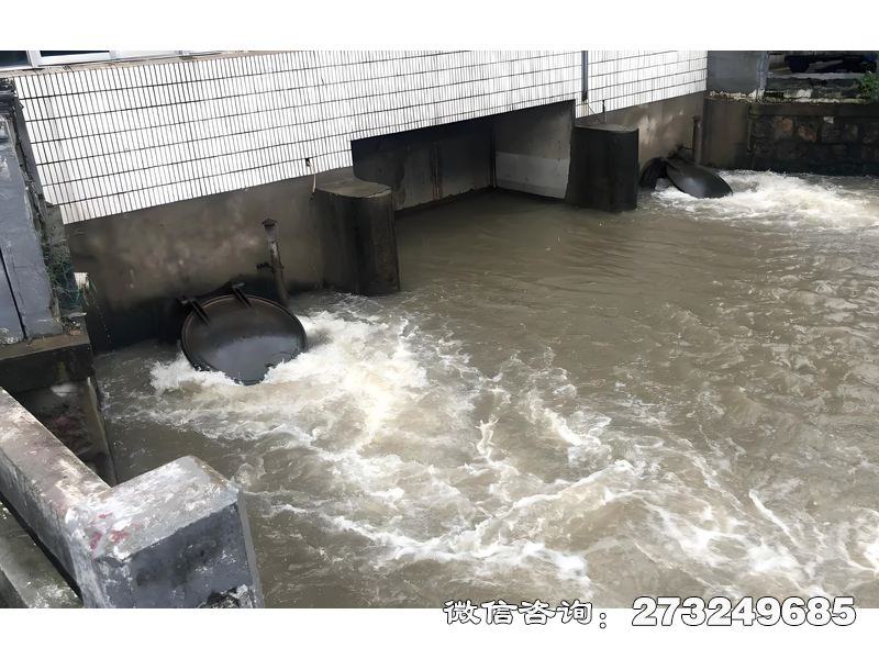 新乡泵站潮门拍门