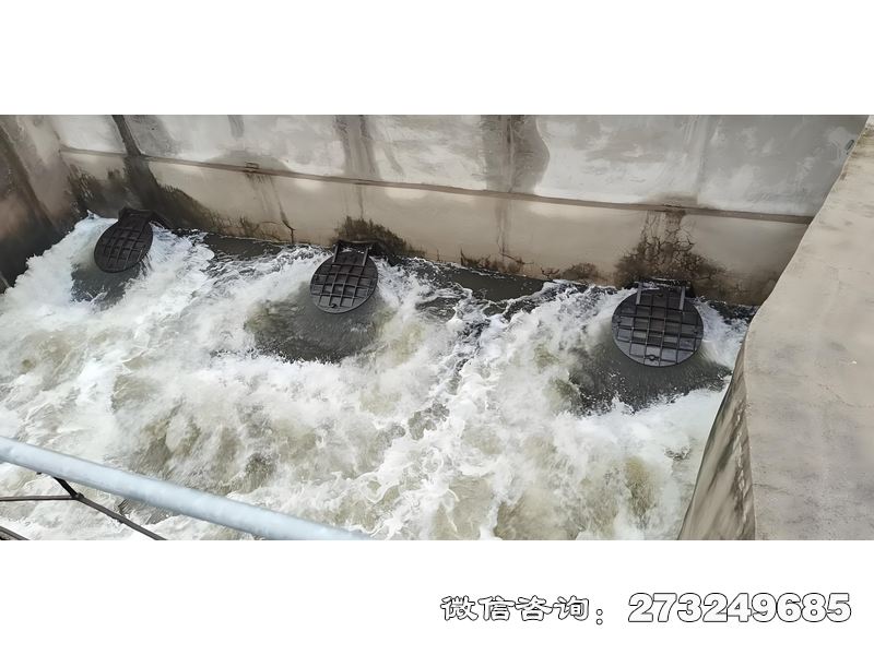 海水养殖排水拍门