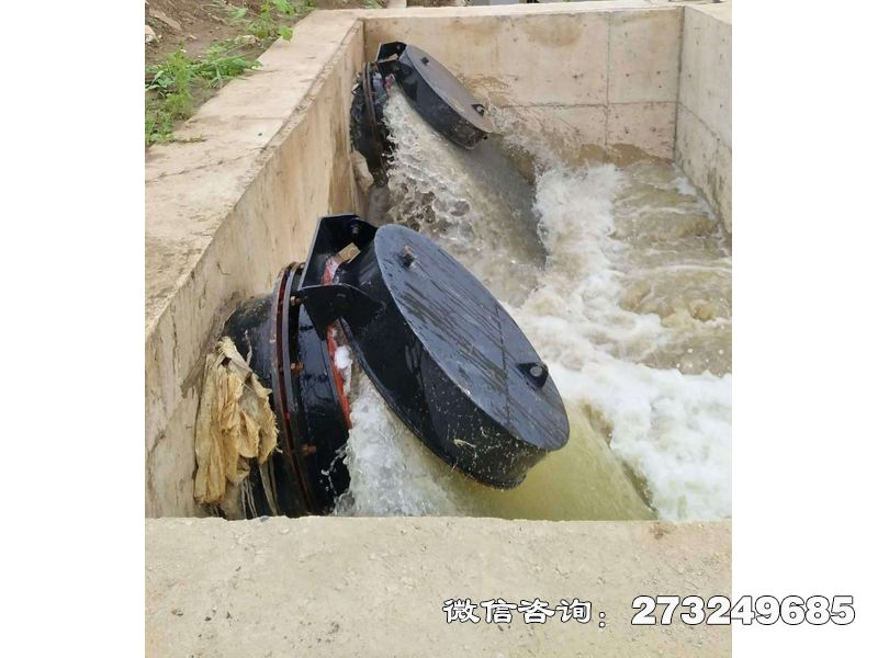 新乡水库潮门拍门