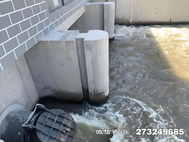 新乡灌区潮门拍门