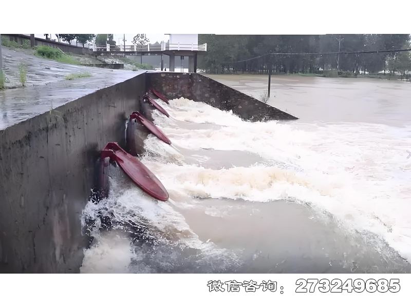 新乡城市排水系统潮门拍门