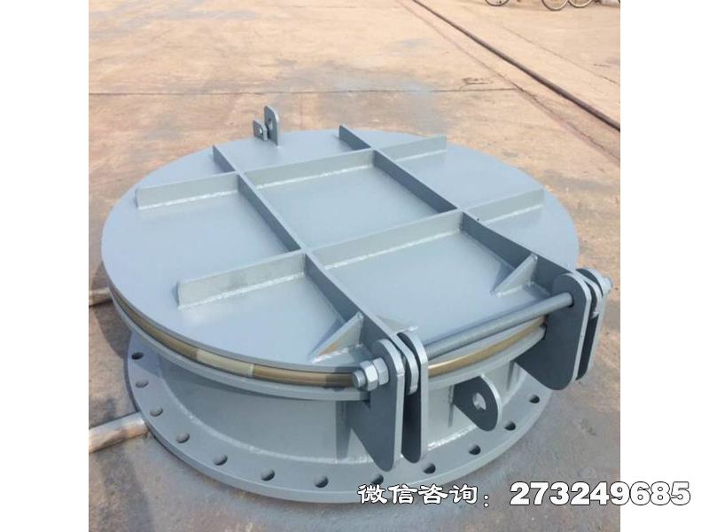 管道钢制止回拍门