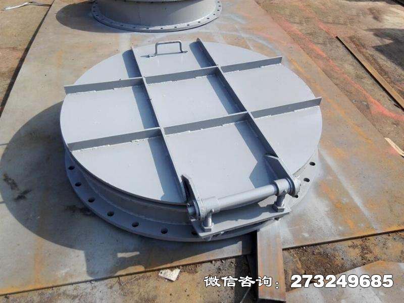 市政防洪钢制拍门