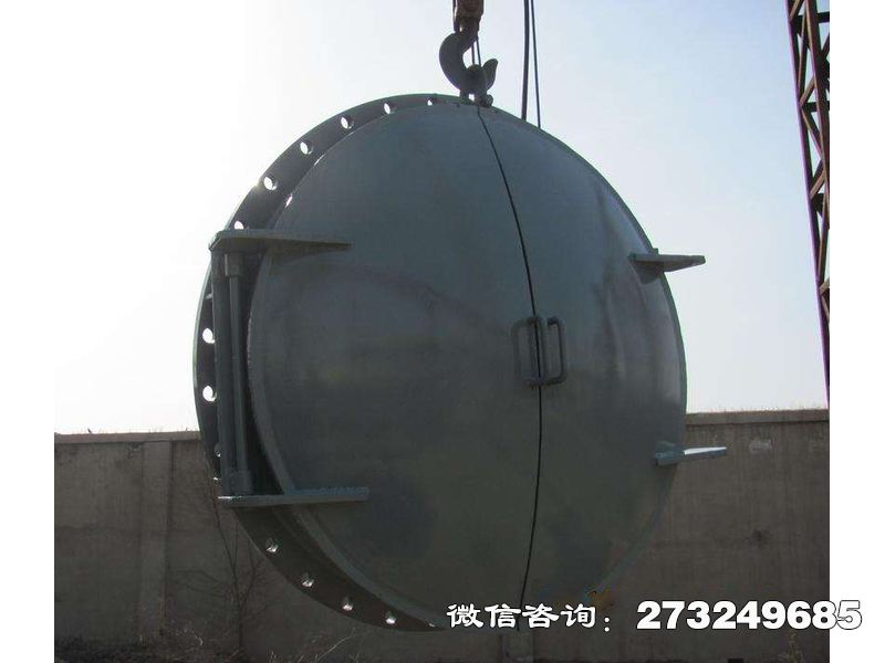 农田灌溉钢制拍门