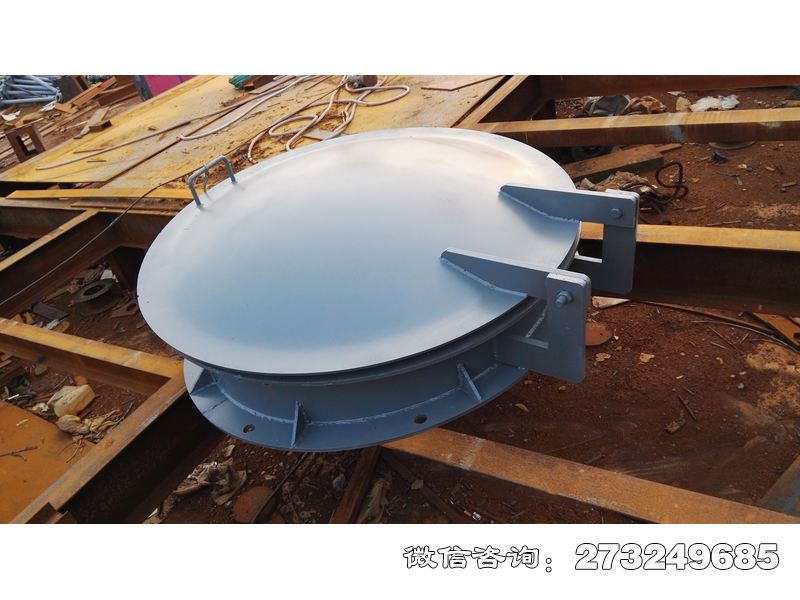 生态补水钢制拍门