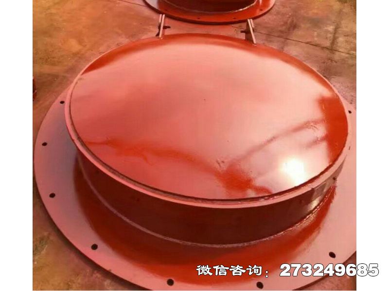 潮汐电站钢制拍门