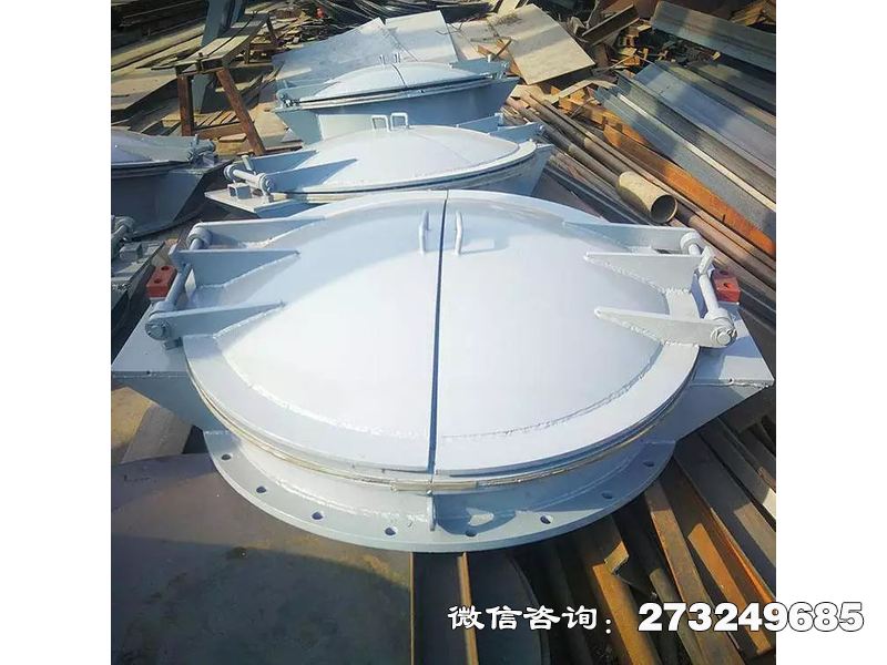 水务局钢制防洪拍门