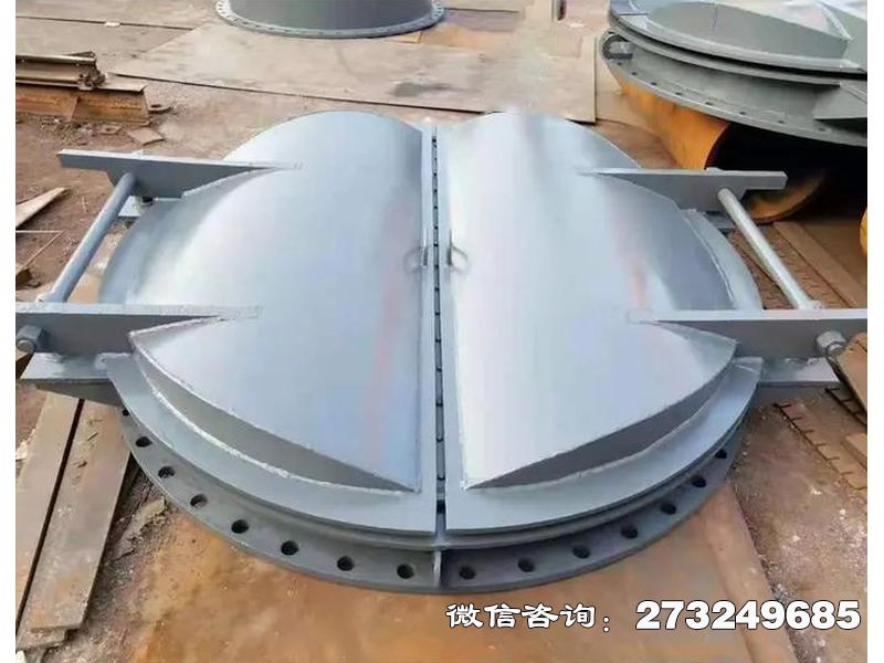 防潮钢制海堤拍门