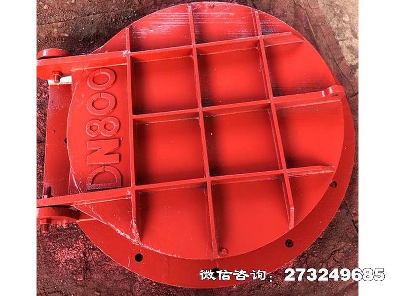 止回钢制管道拍门