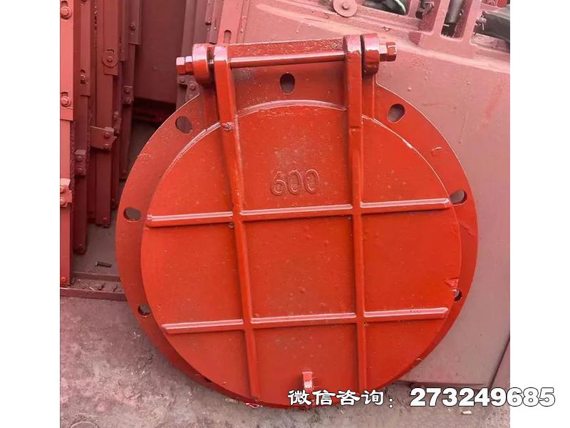 耐腐钢制污水拍门