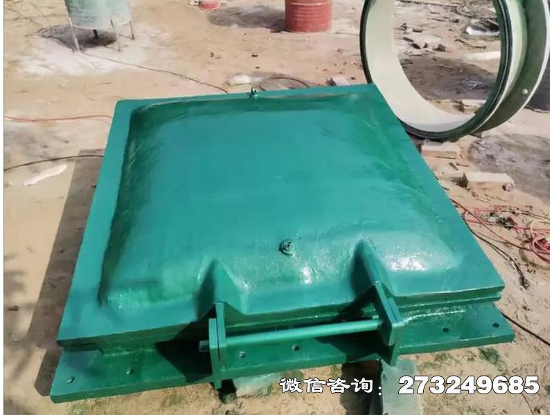 河道钢制排水拍门