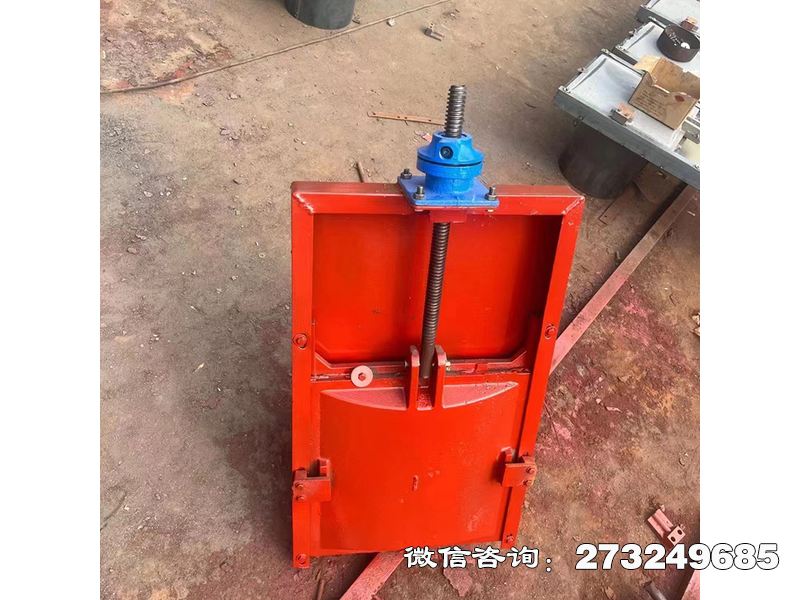 排涝泵站机闸一体闸门