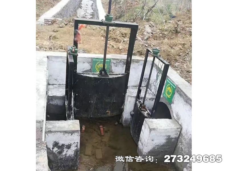 新乡分水灌渠机闸一体闸门