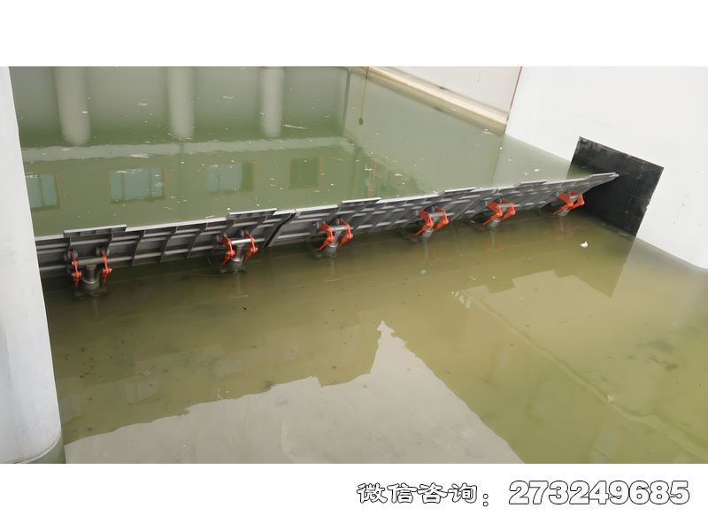 金州湖泊防洪安全坝