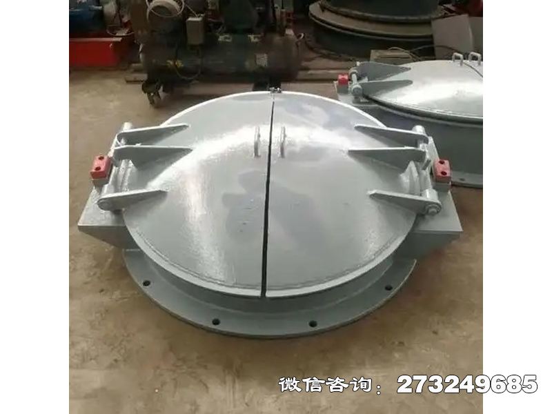温江铸铁圆型导流拍门