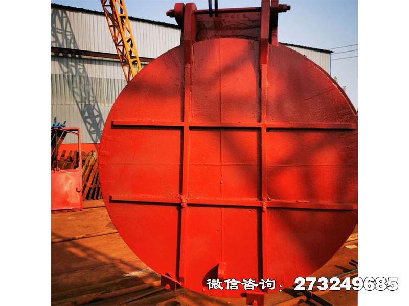海南铸铁圆形分流拍门