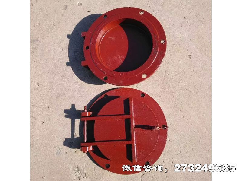 海南铸铁圆型消能拍门