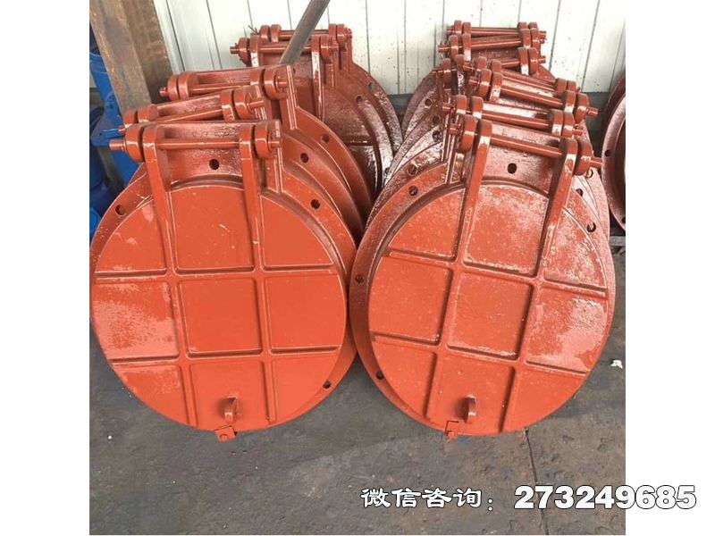 海南铸铁圆形抗冲击拍门