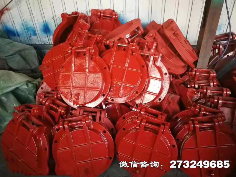 铁力铸铁圆形泵站拍门